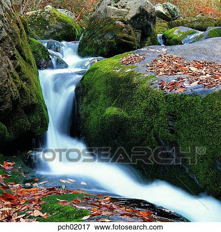 valley, fall, autumn view, autumn scenery, autumn mountain, canyon, autumn View Large Photo Image Stock Photo - valley, fall, autumn view, autumn scenery, autumn mountain, canyon, autumn. Fotosearch