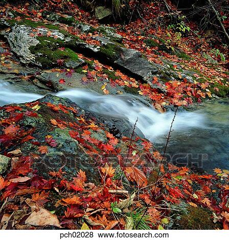 valley, fall, autumn view, autumn scenery, autumn mountain, canyon, autumn View Large Photo Image Stock Photo - valley, fall, autumn view, autumn scenery, autumn mountain, canyon, autumn. Fotosearch