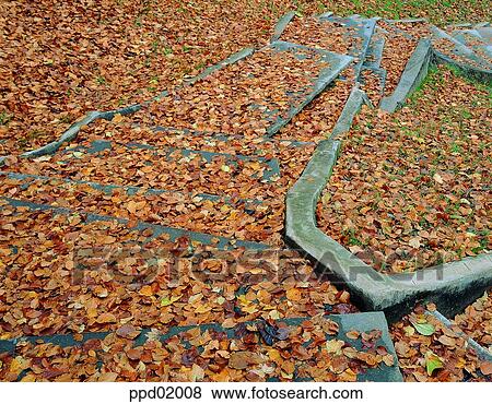 steps, fall, stairs, autumn view, autumn scenery, park, autumn View Large Photo Image Stock Photo - steps, fall, stairs, autumn view, autumn scenery, park, autumn. Fotosearch