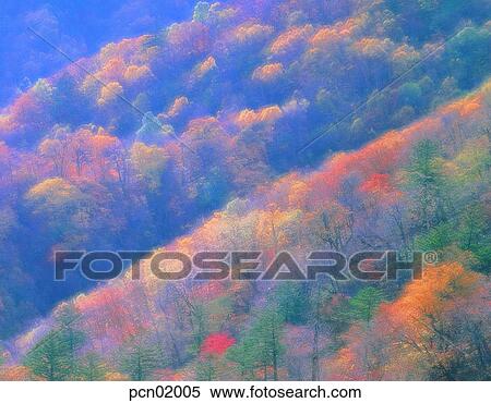 day, fall, autumn view, autumn scenery, autumn mountain, maple, autumn View Large Photo Image Stock Photography - day, fall, autumn view, autumn scenery, autumn mountain, maple, autumn. Fotosearch