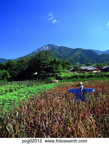 Stock Image - fall, fall, sky of an autumn, autumn view, autumn scenery, day, autumn. Fotosearch