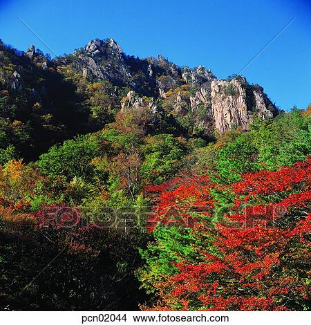 Picture - scene, fall, autumn view, autumn scenery, autumn mountain, scenery, autumn. Fotosearch
