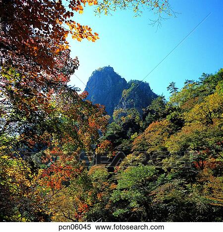 scene, fall, autumn view, autumn scenery, autumn mountain, scenery, autumn View Large Photo Image Stock Photography - scene, fall, autumn view, autumn scenery, autumn mountain, scenery, autumn. Fotosearch