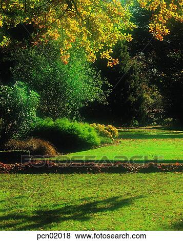 street, fall, park, autumn view, autumn scenery, way, autumn View Large Photo Image Stock Photo - street, fall, park, autumn view, autumn scenery, way, autumn. Fotosearch