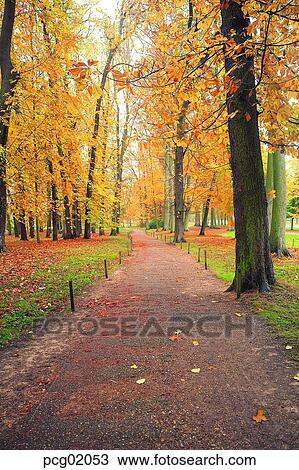 street tree, avenue, autumn, fall, autumn road, autumn scenery, autumn view View Large Photo Image Stock Image - street tree, avenue, autumn, fall, autumn road, autumn scenery, autumn view. Fotosearch