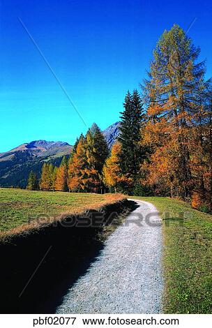 the outskirt, fall, the suburb, autumn view, autumn scenery, street, autumn View Large Photo Image Stock Photo - the outskirt, fall, the suburb, autumn view, autumn scenery, street, autumn. Fotosearch