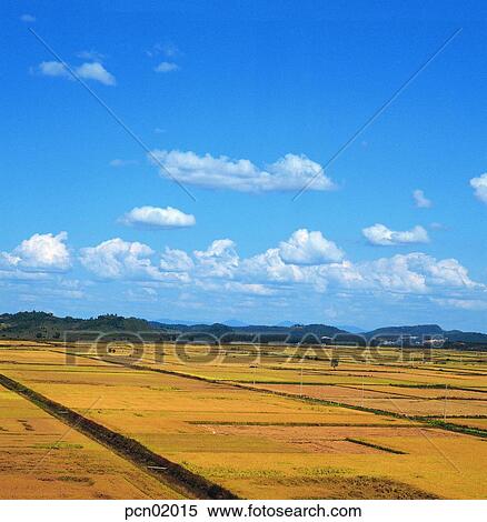 tillage, fall, holdings, autumn view, autumn scenery, cultivated land, autumn View Large Photo Image Stock Photography - tillage, fall, holdings, autumn view, autumn scenery, cultivated land, autumn. Fotosearch