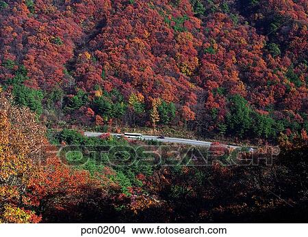 tour bus, fall, autumn view, autumn scenery, autumn mountain, national road, autumn View Large Photo Image Picture - tour bus, fall, autumn view, autumn scenery, autumn mountain, national road, autumn. Fotosearch