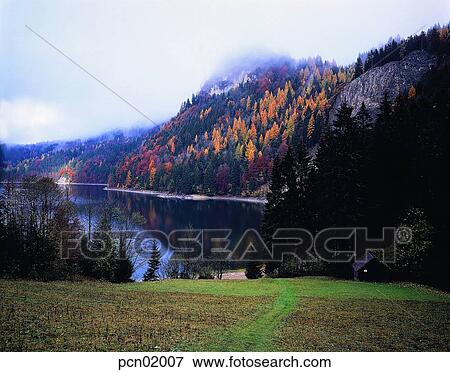 tree, fall, autumn view, autumn scenery, autumn mountain, day, autumn View Large Photo Image Stock Photo - tree, fall, autumn view, autumn scenery, autumn mountain, day, autumn. Fotosearch