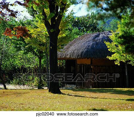 tree, fall, park, autumn view, autumn scenery, day, autumn View Large Photo Image Stock Image - tree, fall, park, autumn view, autumn scenery, day, autumn. Fotosearch
