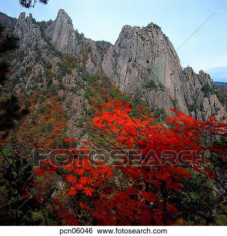 Stock Photograph - view, autumn scenery, scenery, scene, autumn view, branch, autumn mountain. Fotosearch