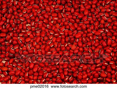Stock Photograph - corn, cereals, grain, cereals, grain, day, agricultural products. Fotosearch
