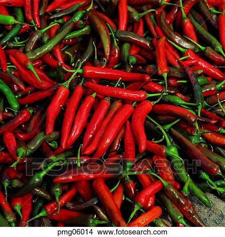 dry, red pepper, day, agricultural products, farm produce, red pepper, red pepper View Large Photo Image Picture - dry, red pepper, day, agricultural products, farm produce, red pepper, red pepper. Fotosearch