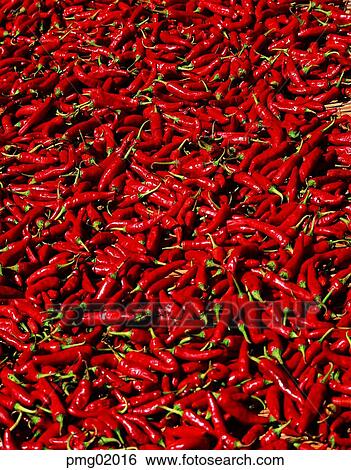 dry, red pepper, day, agricultural products, farm produce, red pepper, red pepper View Large Photo Image Stock Photograph - dry, red pepper, day, agricultural products, farm produce, red pepper, red pepper. Fotosearch