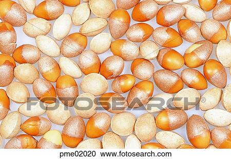 health food, day, gingko nut, indoor, some things, several things View Large Photo Image Stock Image - health food, day, gingko nut, indoor, some things, several things. Fotosearch