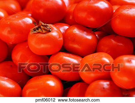 persimmon, fruit, day, agricultural products, farm produce, sweet persimmon View Large Photo Image Stock Image - persimmon, fruit, day, agricultural products, farm produce, sweet persimmon. Fotosearch