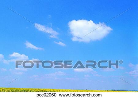 cloud, clouds, clouds, scenery of clouds, view of clouds, flower garden, day View Large Photo Image Stock Image - cloud, clouds, clouds, scenery of clouds, view of clouds, flower garden, day. Fotosearch