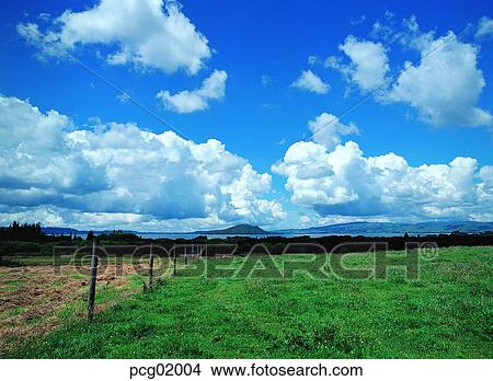 cloud, clouds, clouds, tree, day, ranch, towering mass of clouds View Large Photo Image Picture - cloud, clouds, clouds, tree, day, ranch, towering mass of clouds. Fotosearch