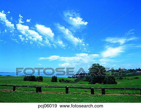 cloud, clouds, clouds, tree, day, ranch View Large Photo Image Stock Photo - cloud, clouds, clouds, tree, day, ranch. Fotosearch