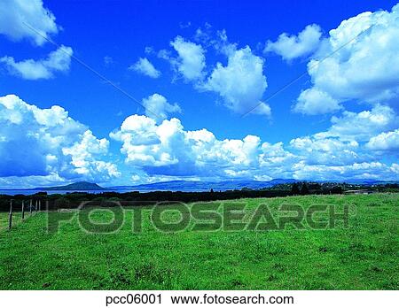 cloud, clouds, clouds, tree, day, ranch, towering mass of clouds View Large Photo Image Stock Image - cloud, clouds, clouds, tree, day, ranch, towering mass of clouds. Fotosearch
