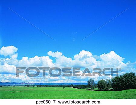 Stock Photo - cloud, clouds, clouds, tree, day, field, plain. Fotosearch