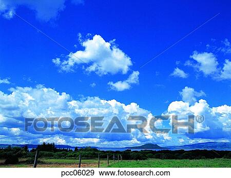 cloud, clouds, clouds, tree, day, ranch, towering mass of clouds View Large Photo Image Stock Photo - cloud, clouds, clouds, tree, day, ranch, towering mass of clouds. Fotosearch