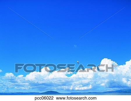 gull, cloud, clouds, clouds, scenery of clouds, view of clouds, climate View Large Photo Image Stock Image - gull, cloud, clouds, clouds, scenery of clouds, view of clouds, climate. Fotosearch