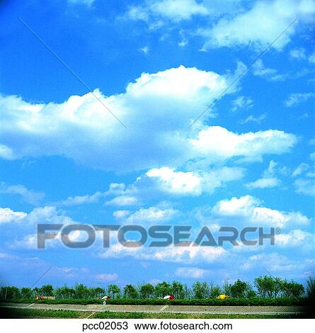 Stock Image - street tree, avenue, riverside, terrace land on the river, cloud, clouds, clouds. Fotosearch
