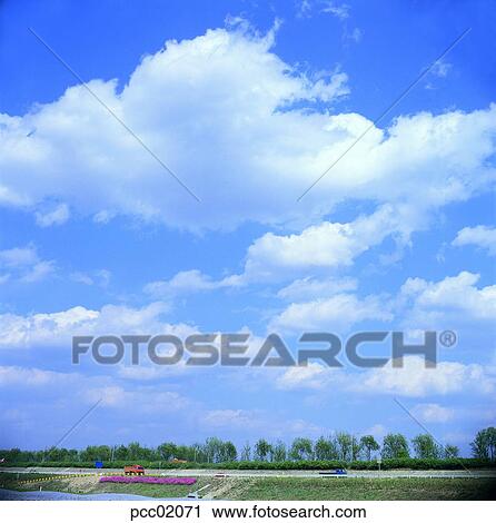 Stock Image - street tree, avenue, riverside, terrace land on the river, cloud, clouds, clouds. Fotosearch