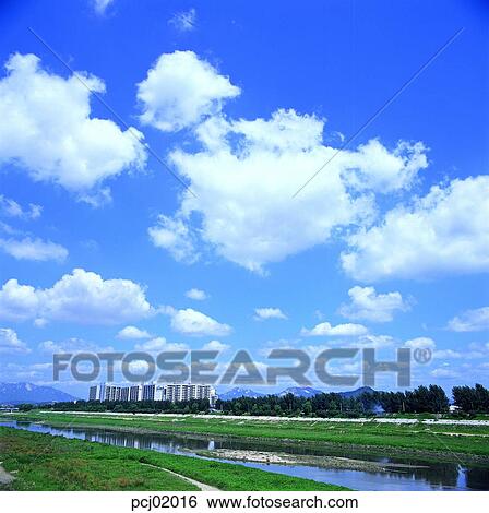street tree, avenue, riverside, terrace land on the river, cloud, clouds, clouds View Large Photo Image Stock Photograph - street tree, avenue, riverside, terrace land on the river, cloud, clouds, clouds. Fotosearch