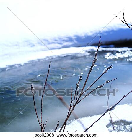 Stock Photo - brook, little stream, winter, winter valley, winter scenery, winter scene, winter view. Fotosearch