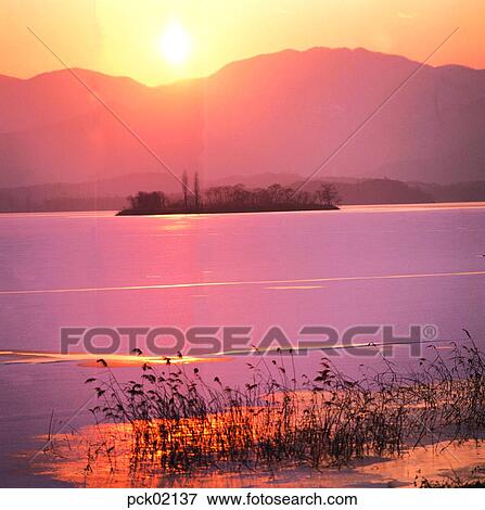 Stock Photo - reed, river, winter, winter scenery, winter scene, winter view, the suburbs. Fotosearch