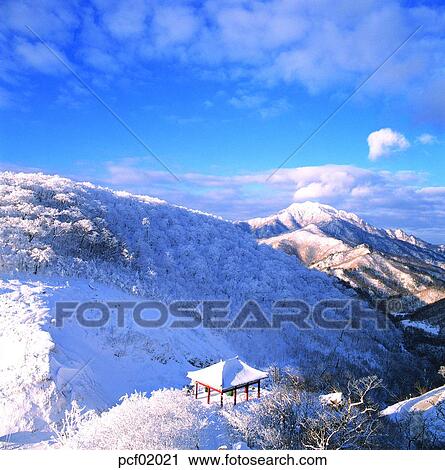 Stock Image - winter, winter mountain, cloud, clouds, tree, day, snow. Fotosearch