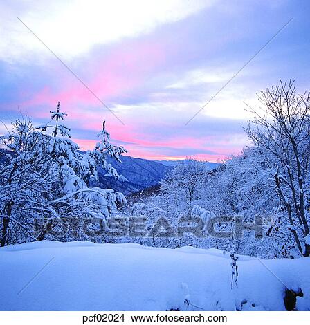 winter, winter mountain, tree, day, red sky, sunset, sunrise View Large Photo Image Picture - winter, winter mountain, tree, day, red sky, sunset, sunrise. Fotosearch
