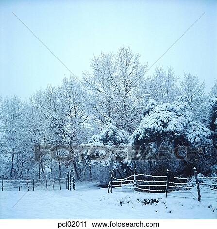 winter, winter mountain, tree, day, snow, snow flower View Large Photo Image Stock Image - winter, winter mountain, tree, day, snow, snow flower. Fotosearch