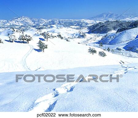 winter, winter mountain, tree, day, snow, footprint View Large Photo Image Stock Image - winter, winter mountain, tree, day, snow, footprint. Fotosearch