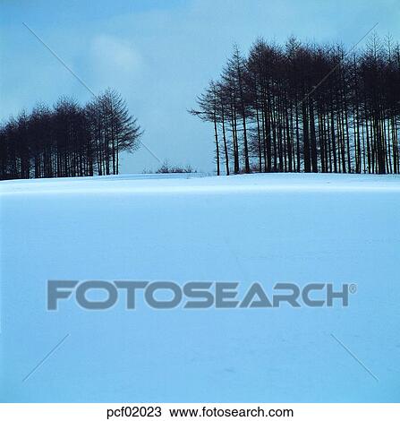 winter, winter mountain, tree, day, snow, field, fields View Large Photo Image Stock Image - winter, winter mountain, tree, day, snow, field, fields. Fotosearch