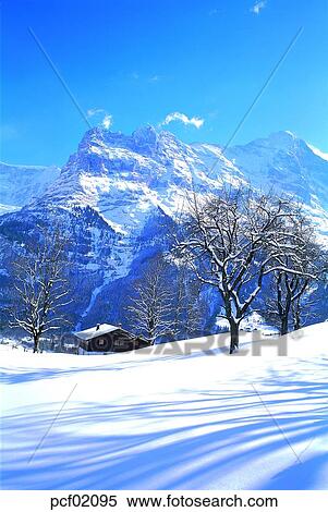 Stock Photography - winter, winter mountain, winter scenery, winter scene, winter view, season, the suburbs. Fotosearch