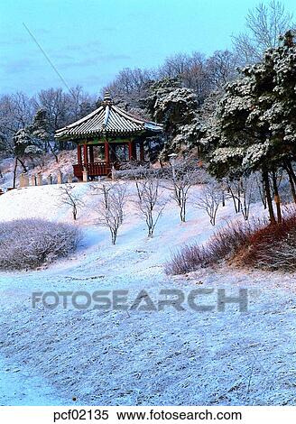 winter, winter mountain, winter scenery, winter scene, winter view, season, tree View Large Photo Image Stock Photography - winter, winter mountain, winter scenery, winter scene, winter view, season, tree. Fotosearch