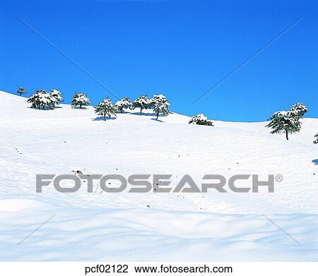 winter, winter scenery, winter scene, winter view, season, tree, day View Large Photo Image Stock Image - winter, winter scenery, winter scene, winter view, season, tree, day. Fotosearch