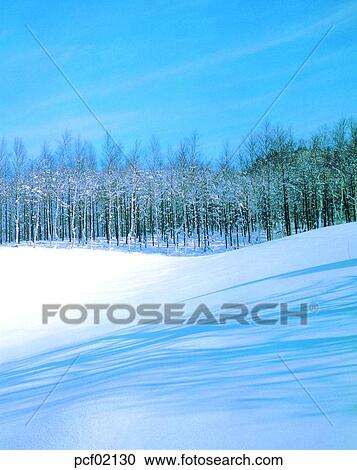 winter, winter scenery, winter scene, winter view, season, tree, day View Large Photo Image Stock Image - winter, winter scenery, winter scene, winter view, season, tree, day. Fotosearch