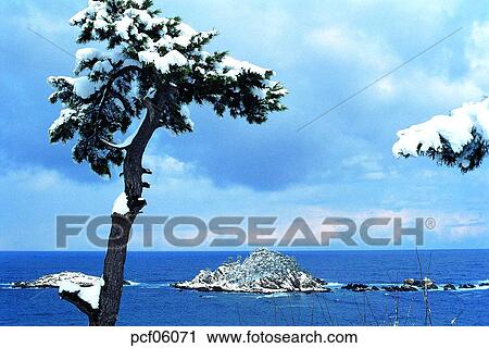 winter, winter scenery, winter scene, winter view, cloud, clouds, tree View Large Photo Image Stock Image - winter, winter scenery, winter scene, winter view, cloud, clouds, tree. Fotosearch