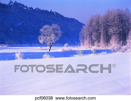 winter, winter scenery, winter scene, winter view, season, tree, day View Large Photo Image Stock Photo - winter, winter scenery, winter scene, winter view, season, tree, day. Fotosearch