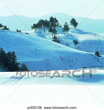 winter, winter scenery, winter scene, winter view, season, tree, day View Large Photo Image Stock Photograph - winter, winter scenery, winter scene, winter view, season, tree, day. Fotosearch