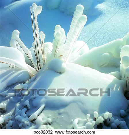 Stock Image - winter, winter snow flower, winter scenery, winter scene, winter view, season, tree. Fotosearch