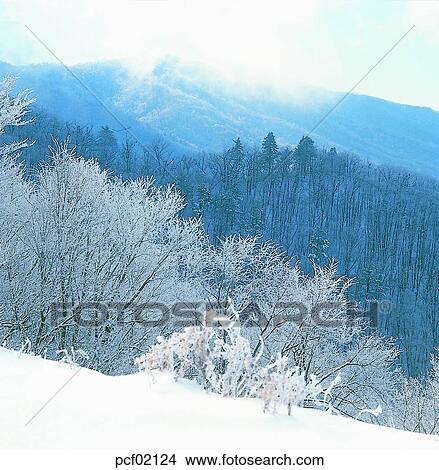 winter, winter tree, winter mountain, winter scenery, winter scene, winter view, season View Large Photo Image Picture - winter, winter tree, winter mountain, winter scenery, winter scene, winter view, season. Fotosearch
