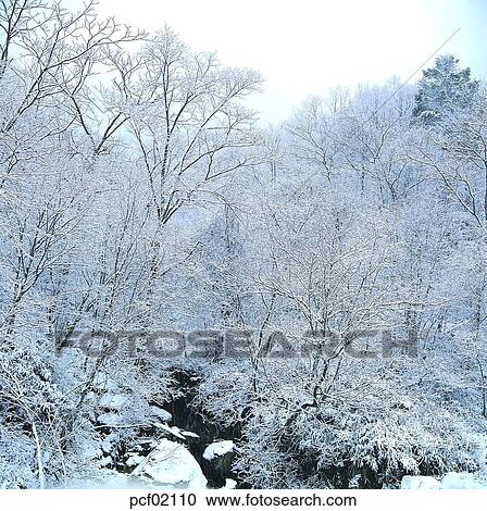winter, winter tree, winter mountain, winter scenery, winter scene, winter view, valley View Large Photo Image Stock Image - winter, winter tree, winter mountain, winter scenery, winter scene, winter view, valley. Fotosearch