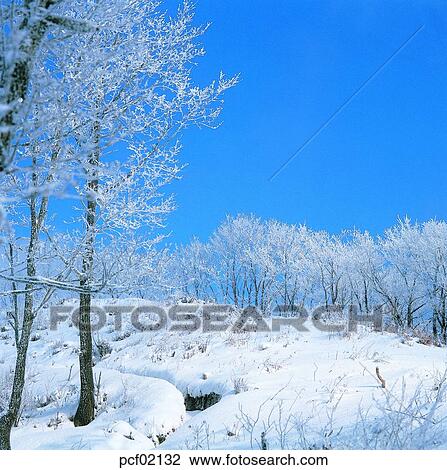 winter, winter tree, winter mountain, winter scenery, winter scene, winter view, season View Large Photo Image Stock Image - winter, winter tree, winter mountain, winter scenery, winter scene, winter view, season. Fotosearch