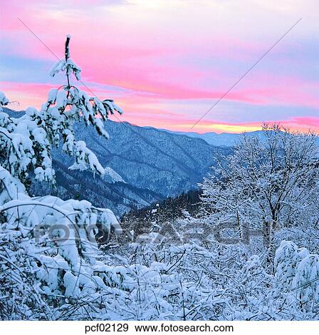 冬 冬 山 冬 景色 冬場面 冬 光景 季節 郊外 写真館 イメージ館 Pcf Fotosearch