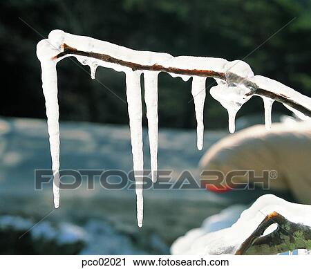 branch, twig, winter, winter tree, winter scenery, winter scene, winter view View Large Photo Image Stock Image - branch, twig, winter, winter tree, winter scenery, winter scene, winter view. Fotosearch
